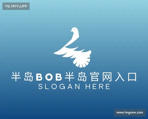 解读bob半岛·综合官网